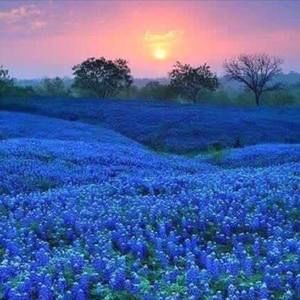 Meet your Posher, Pam